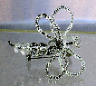 jewelry_album2010005.jpg